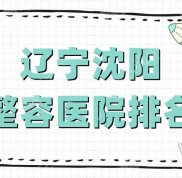 遼寧沈陽整容醫(yī)院排名公布