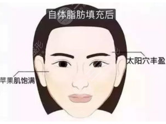 北京丽港医疗美容医院医生名单