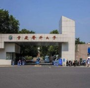 重慶醫(yī)科大學整形美容中心簡介