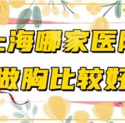 上海哪家醫(yī)院做胸比較好