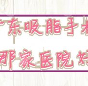 廣東吸脂手術(shù)哪家醫(yī)院技術(shù)好