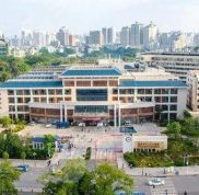 惠州中心人民醫(yī)院整形外科簡介