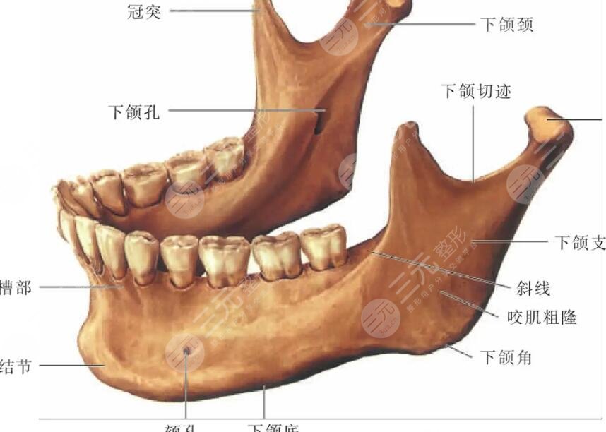 沈绍勇改脸型怎么样