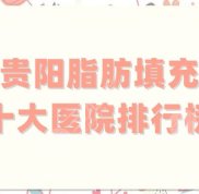 貴陽脂肪填充十大醫(yī)院排行榜更新