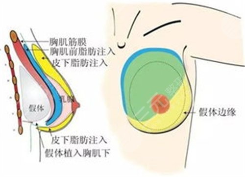 山大一院整形科主任張寶林簡介、預(yù)約、口碑