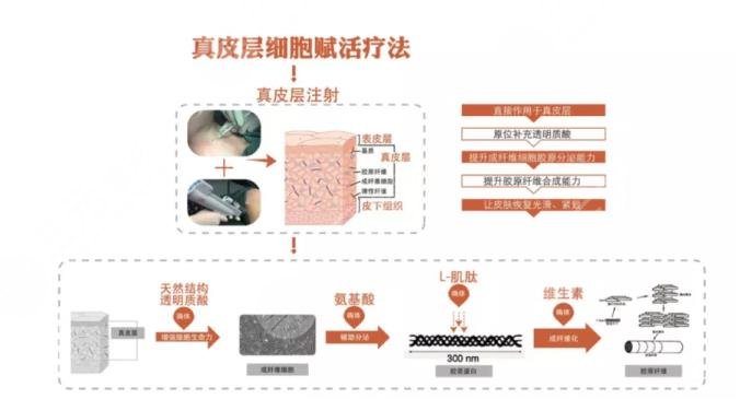 頸紋就像一圈圈年輪