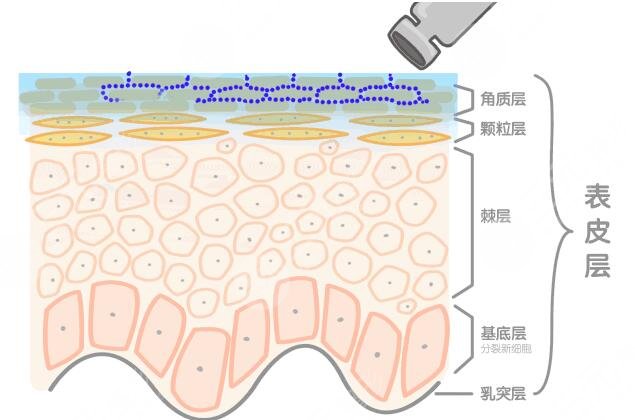 超聲提拉和熱瑪吉區(qū)別是什么