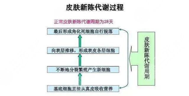 敏感肌必看