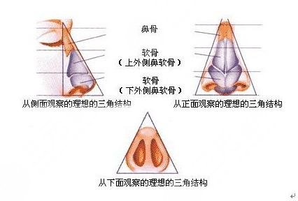 鼻頭鼻翼鼻尖整形恢復(fù)時(shí)間科普