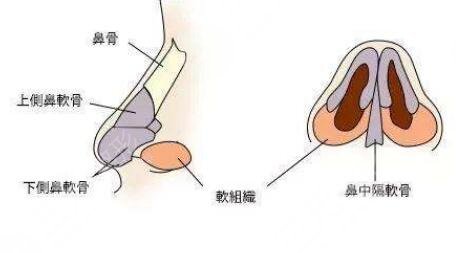 2022中國隆鼻修復(fù)專家排行榜