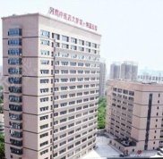 河南中醫(yī)藥大學第一附屬醫(yī)院植發(fā)科怎么樣
