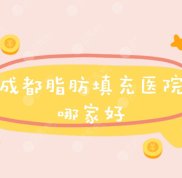 成都脂肪填充醫(yī)院哪家實(shí)力比較好