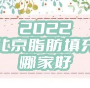 2024北京脂肪填充哪家好