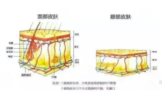 大而有神的美眼