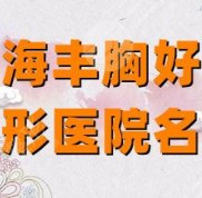 上海豐胸好的整形醫(yī)院名單