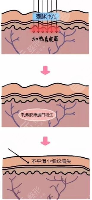 周口整形医院排行榜2022新版