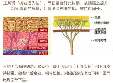 國(guó)內(nèi)做拉皮手術(shù)有名的醫(yī)生排行榜