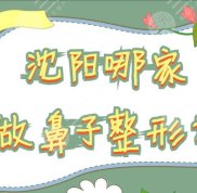 沈陽(yáng)哪家做鼻子整形好