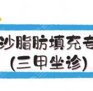 長沙脂肪填充專家