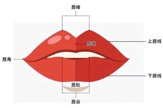 不动手术让嘴唇变薄的方法有哪些