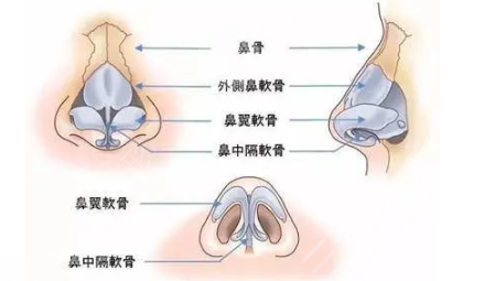 成都整形医生