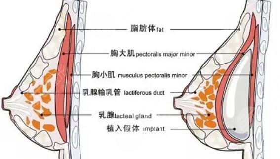 上海九院整形醫(yī)院預(yù)約掛號(hào)指南