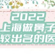 2024上海做鼻子比較出名的醫(yī)生名單