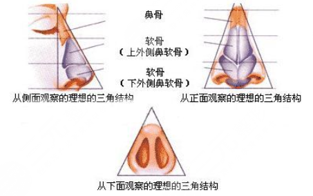 付德剛做鼻子好嗎