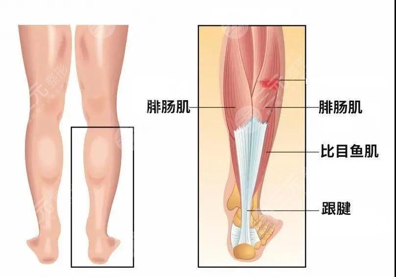 病態(tài)審美肆意盛行