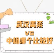 武漢美萊和中翰哪個(gè)實(shí)力比較好