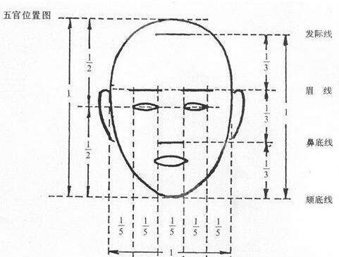 據(jù)說(shuō)沒(méi)有誰(shuí)的臉是左右對(duì)稱的