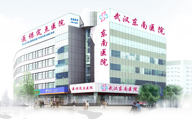 武汉东南整形医院价格表详细一览