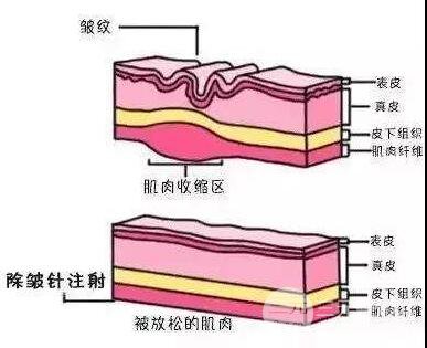 湘雅二醫(yī)院有整形科嗎