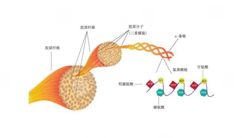 嘴角皺紋怎么處理