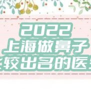 2024上海做鼻子比較出名的醫(yī)生有哪些