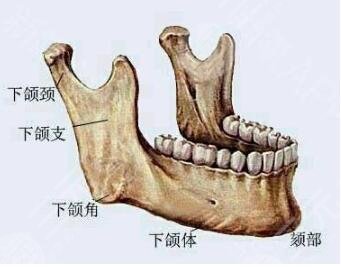 下頜角切除一般多少錢