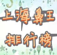 上海鼻王排行榜2024年更新版&amp