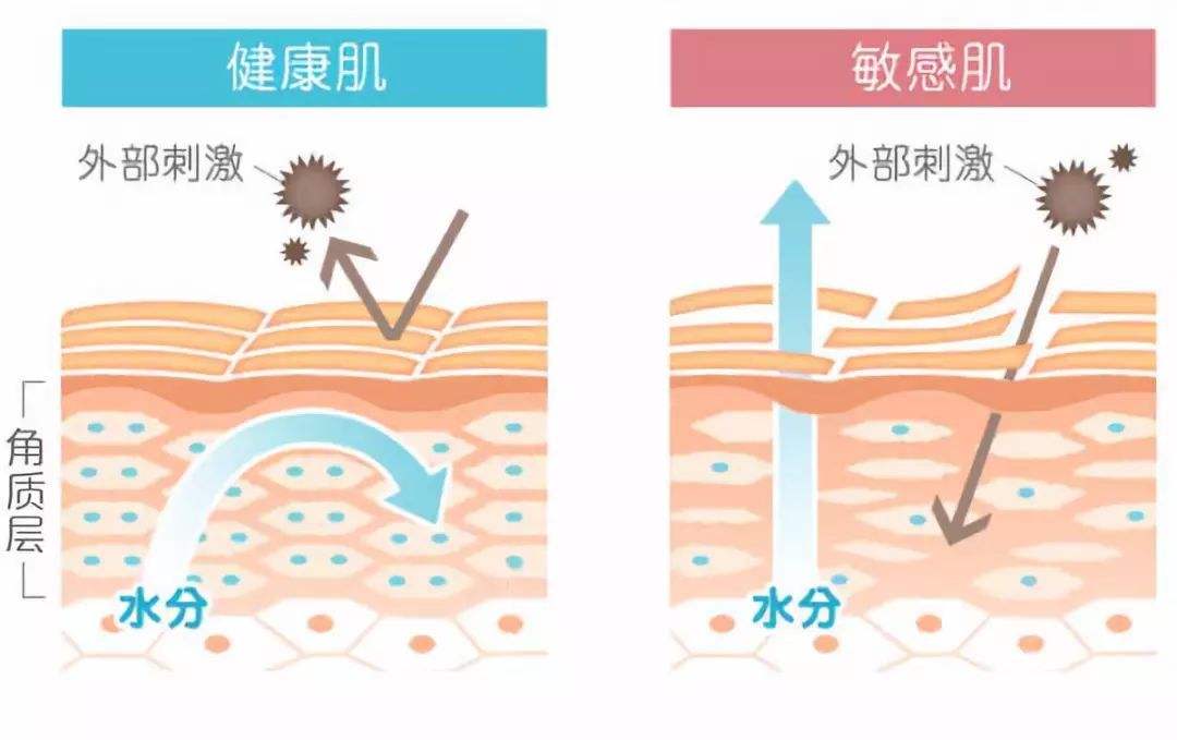 秋冬換季皮膚狀態(tài)直線(xiàn)下降