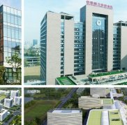 合肥省立醫(yī)院可以看脫發(fā)嗎