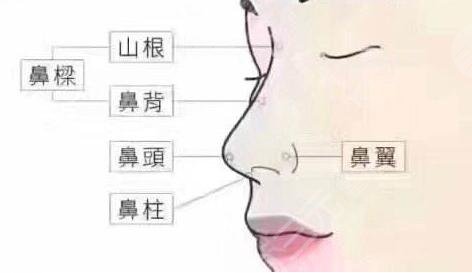 福州林峰医生做的鼻子怎么样