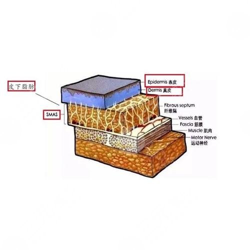 歐洲之星4d做完會更松弛嗎