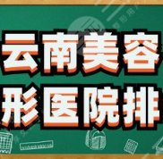 云南美容整形醫(yī)院排名
