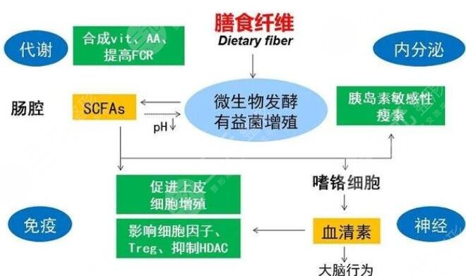 張靜初公然倡導(dǎo)素食主義