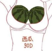 安徽省立醫(yī)院整形美容科專家名字