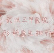武漢三甲醫(yī)院整形科醫(yī)生排行榜公布