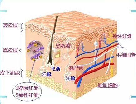 做完熱瑪吉后臉垮了