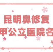 昆明鼻修復三甲公立醫(yī)院名單公布