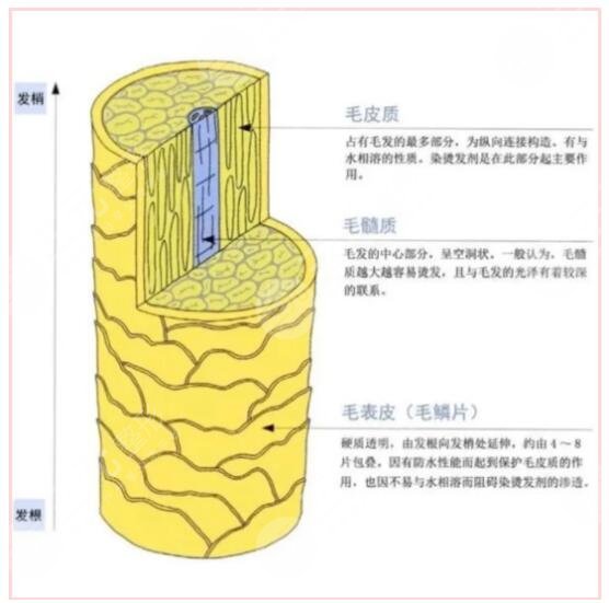 冬天頭發(fā)干燥又多靜電