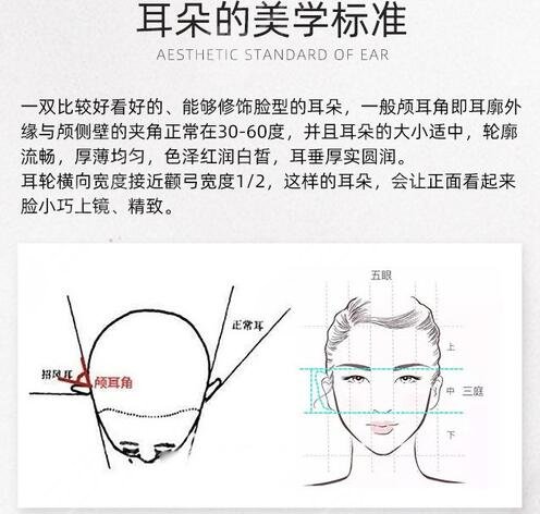 顱耳角在30°-60°之間需要矯正嗎