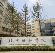 北京隆胸三甲醫(yī)院做的好嗎